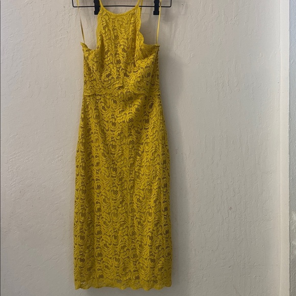 Zara Yellow Lemon Lace Bodycon Midi Knee Length Dress Small - Picture 2 of 4